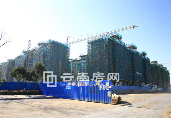 ОԷסլw AӋڽ°꿢