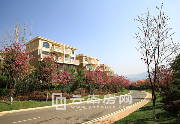 ɽˮʹȱPƪM(jn)ʥt(y)^