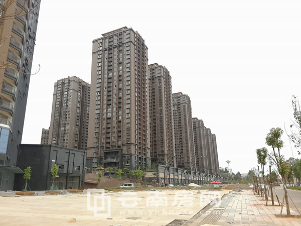 ݾ@ļȱPur(ji)ƪȥٶ׃