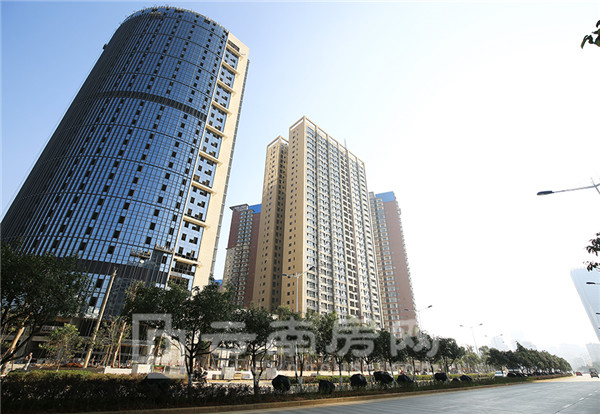 ʐ16＾ȱPurƪօ^̘I