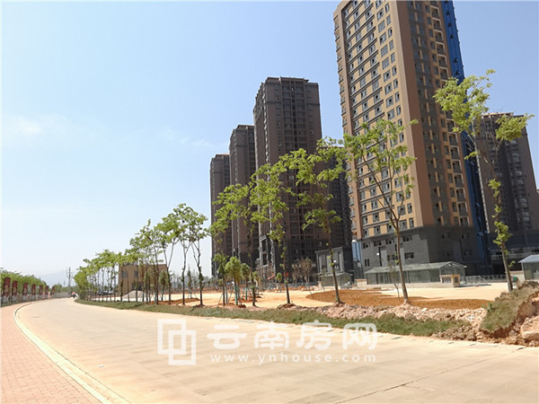 ݾ@סլr(ji)5600Ԫ/ƽ ȫ(yu)3%