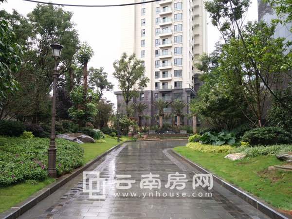 װ16＾ȱPNƪʬFr13000Ԫ/O