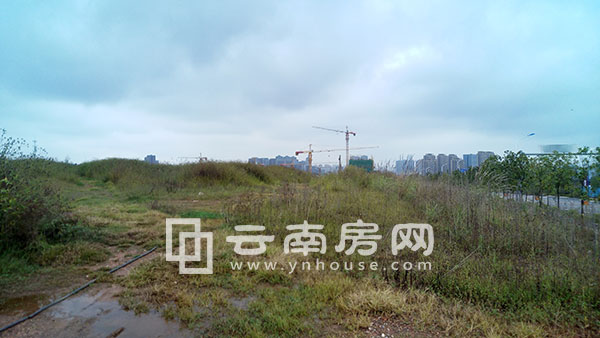 tPҾVh(hun)uʾ Ŀδӹ