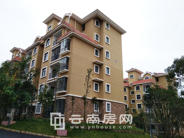 ϖ|Է16궬ȱPurƪС@