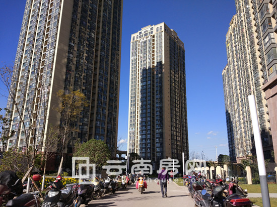 ʥһƷ16궬ȱPNƪסլ䁾