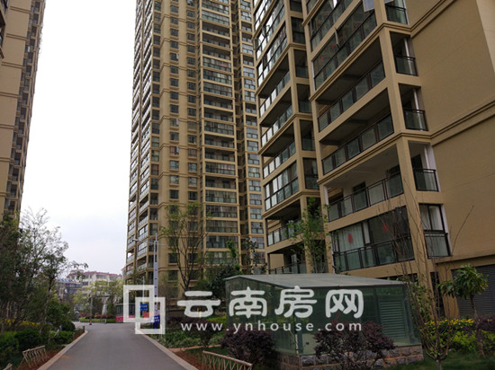 R17괺ȱPurƪڵ؉Kӹ