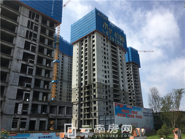 {ˮ@17＾ȱPurƪo׼҉