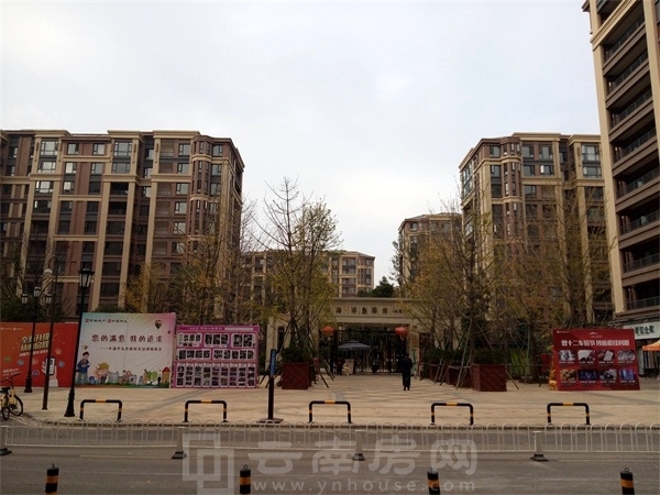 кuAuyaƷcuƪ¹ŵxOӋ ش