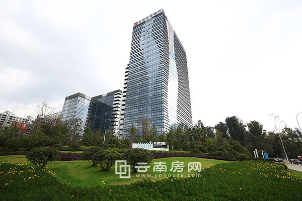 Bǵ̼17궬ȱPurƪϼtv