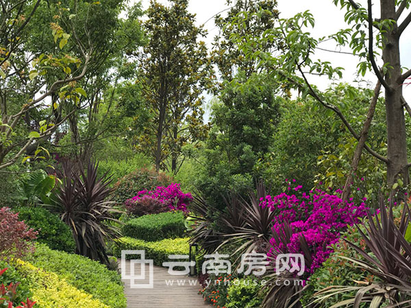 {(ln)·Ӻ\18ļȱPƪͨСW(xu)W(xu)λ