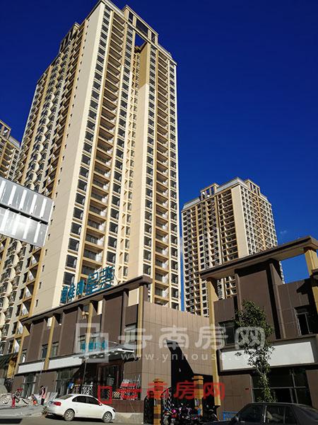 ̹@C4סլ Frs1.2fԪ/ƽ