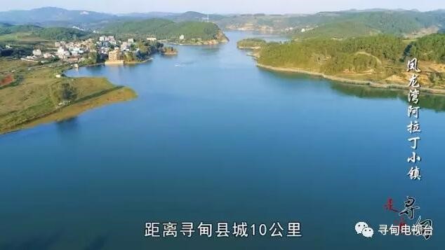 õخa_l hxҪMЈǂ“Ӳ”