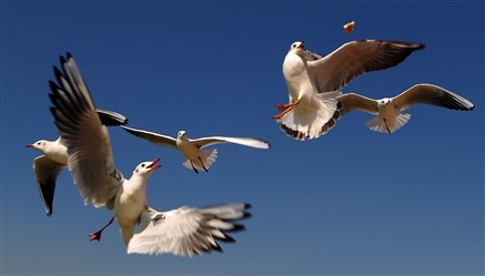 @Lɶڈ@ǵ“Е͏d”