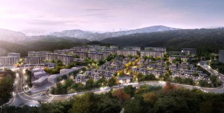 2020罛(jng)(j)Ч(yng)L(fng)ځ