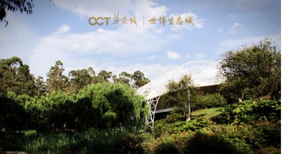 B(ti)6-{(ln)Aʾ`ţ