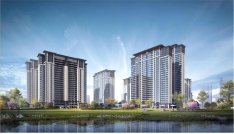 2^Ҏ(gu)s41.62f ɽ^(q)ռȳ