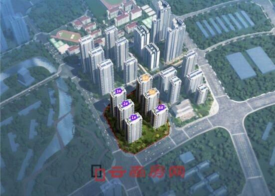 3(xing)ĿA(y)7.35f(wn) kߌӡeӘ