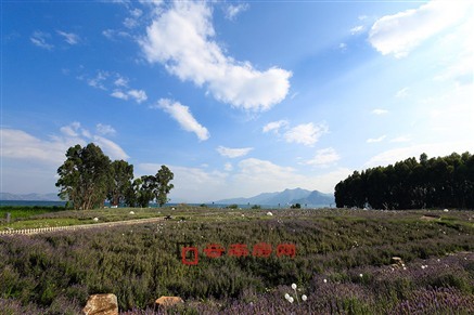 wȺw6.6 x^(q)pl(xing)(dng)