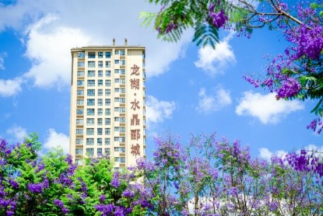 Ǆ“ƾӋ”  ^““M