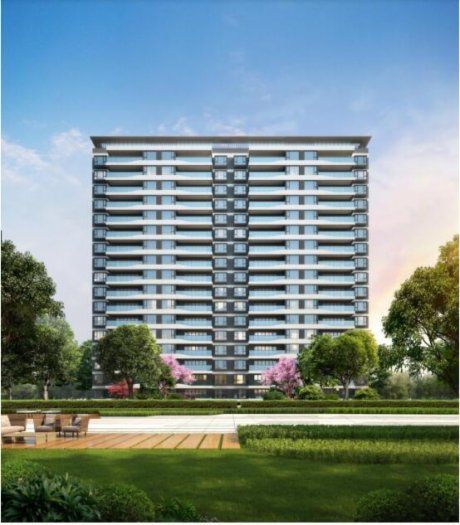 “Ư”x츮^ ر[ص挍߉݋