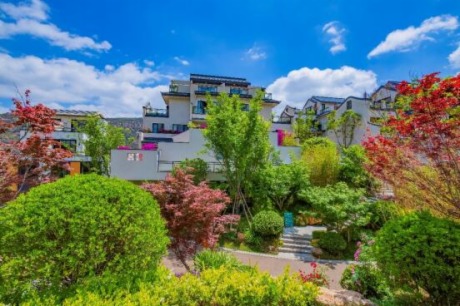 “”ɿtҿfP“”