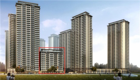 l(f)r٫@ACYO(jin)ܸˣɆ߀һ