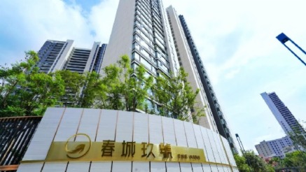 ذu“11.11”x@tP͌ˣ