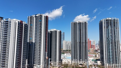 ȫ汼“F”롢FУãr